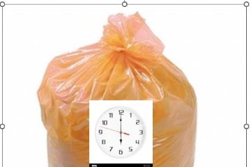Servizio di raccolta rifiuti indifferenziati - periodo 18 giugno 2026/10 settembre 2026 - anticipo orario